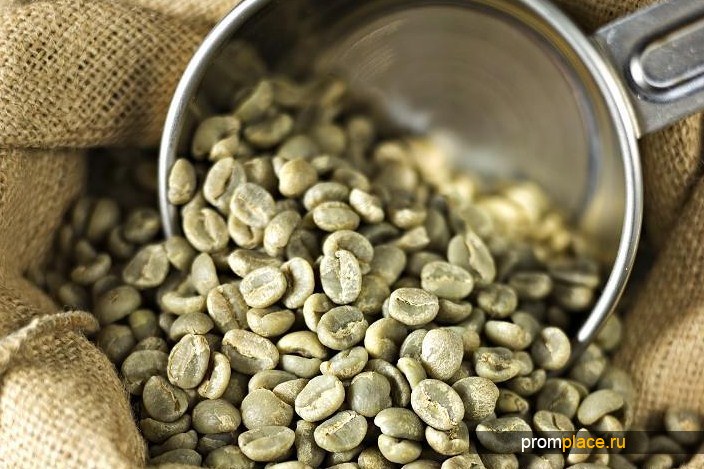 зеленый кофе в зернах сорт
Арабика Эфиопский Sidamo  Grade 2 ,
washed