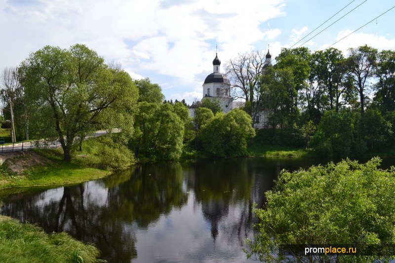 Фото возле леса