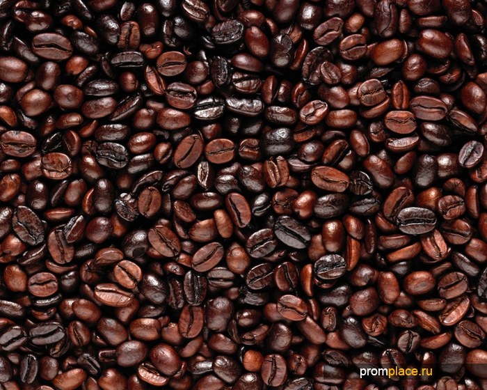 жаренный кофе в зернах сорт
Арабика Боливия Extra,washed