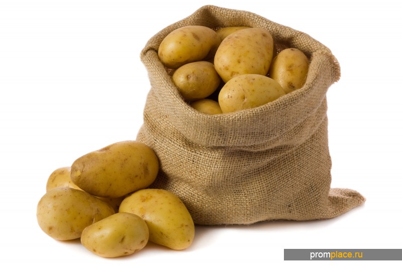 В 3 пакета разложили поровну 12 кг картофеля сколько килограммов картофеля в каждом пакете схема
