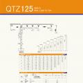 Башенный  кран  QTZ125
