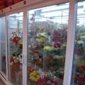 Холодильная витрина для
цветов