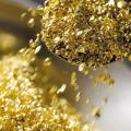Поиск инвестора / продажа
лицензии на добычу золота