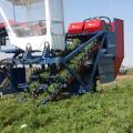 Современные морковоуборочные комбайны для механизированной уборки урожая